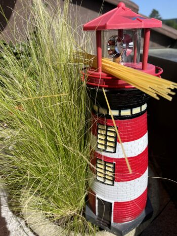 Spagetthi Plausch